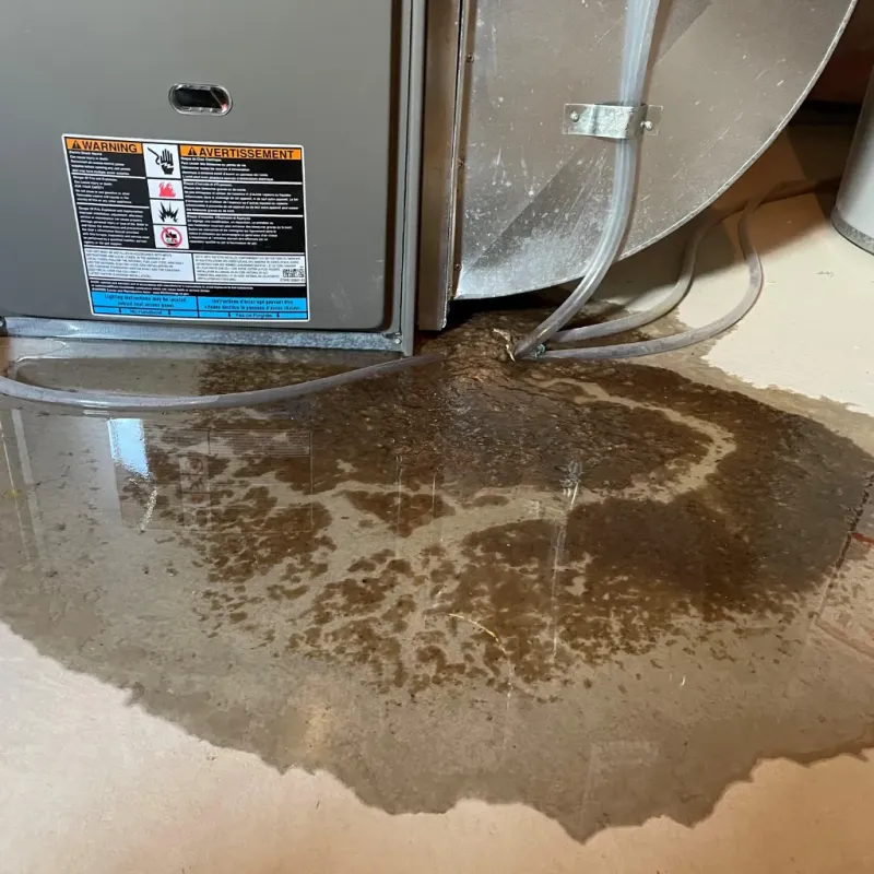 Appliance Leak Cleanup in Campbell County, VA