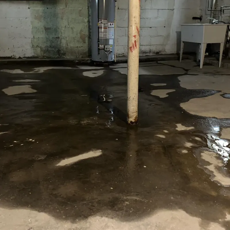 Emergency Water Extraction And Removal in Campbell County, VA
